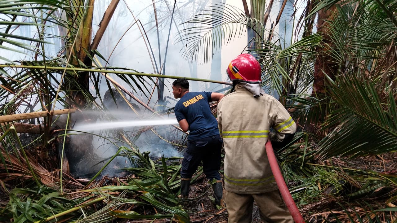 Karhutla dan Banjir Menghantui Sejumlah Daerah, BNPB Minta Warga Waspada