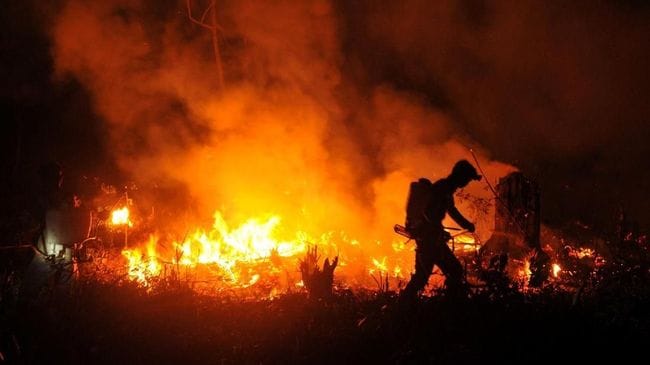 Karhutla Mengintai di Tengah Kemarau, Puluhan Hektare Lahan Terbakar di Kaltim dan Jateng